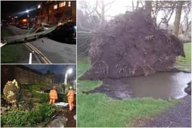 More gales could be on their way to Sheffield according to the Met Office