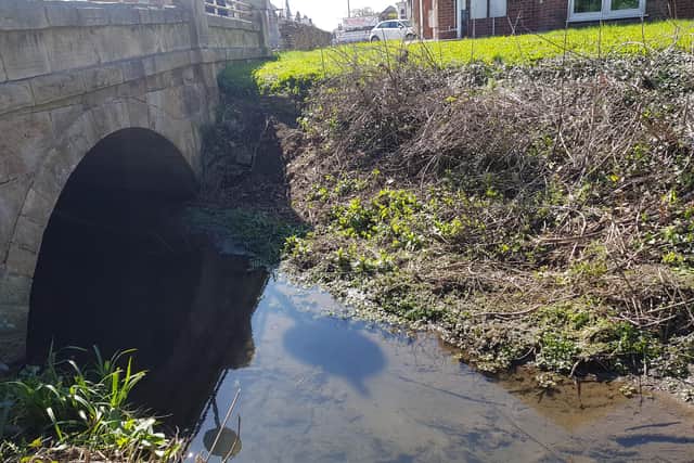 Mill Dike after the litter pick.