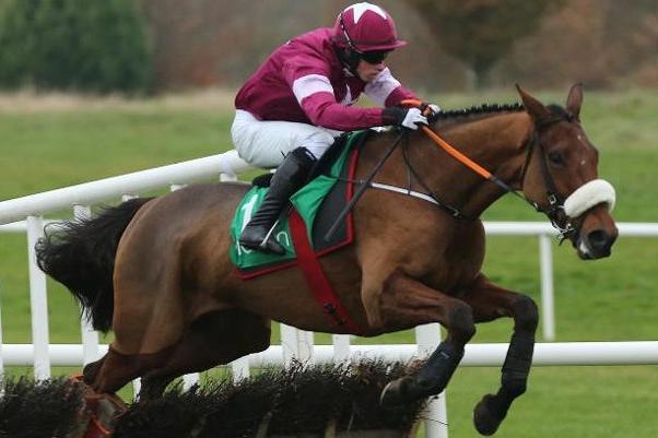 Yet another flagbearer for the Gordon Elliott/Gigginstown Stud combination and although he's getting on a bit (11yo), the trainer considers him well handicapped. After winning a Grade One event as a novice, beating a subsequent National runner-up, he suffered a losing streak of nine before bouncing back to form when tackling an extreme stamina test in February. Should be primed and ready after a quiet prep run at Cheltenham three weeks ago.