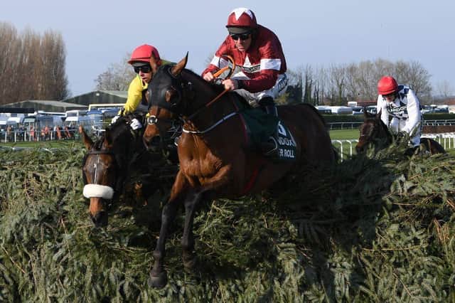 Tiger Roll. Photo: PAUL ELLIS/AFP via Getty Images