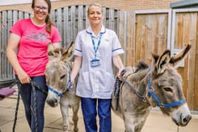 Pictured from the left are Jenny Howarth, of the donkey sanctuary and Angela Wild, physio at the hospice, with donkeys Toby and Millie