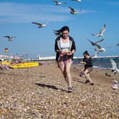 Gulls can pose a serious safety risk. CREDIT - erostunova at 123rf.com