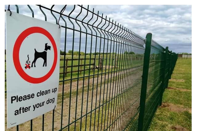 The secure dog facility offers a safe spot for dog walkers and their pets.