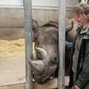 Mum to be with a Yorkshire Wildlife Park ranger
