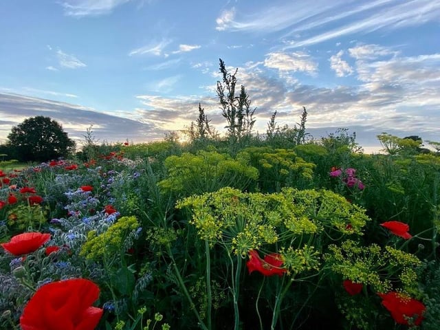 Brian Callery has captured the beauty of Hatfield's Jubilee Park on camera.