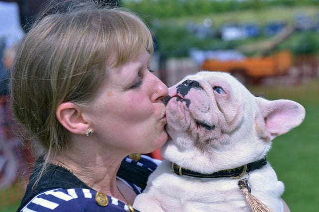 French Bull dog Barley gets a well deserved kiss from owner Caroline Craven at the 2014 Dogs Day Out.