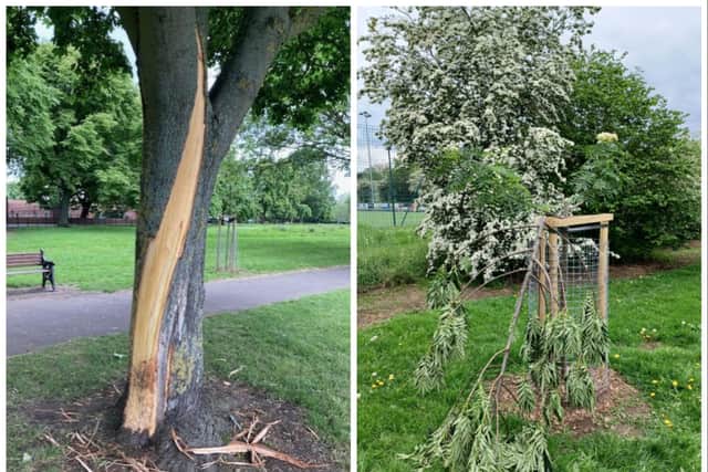 Trees across Doncaster have been damaged by vandals.