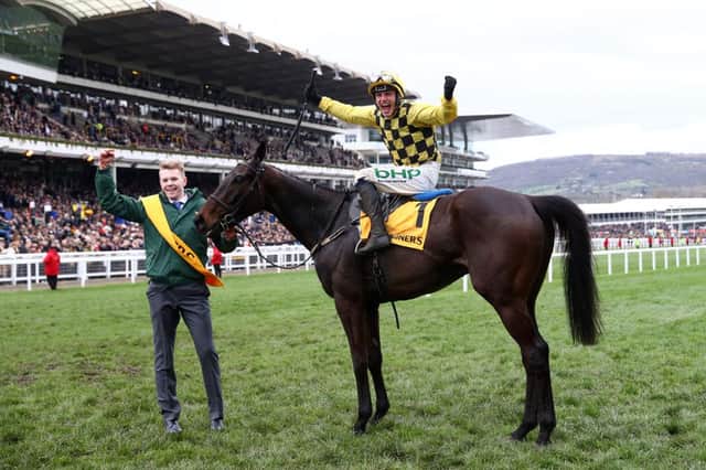 Jockey Paul Townend celebrates following his victory with Al Boum Photo in last year's Gold Cup. Photo by Michael Steele/Getty Images