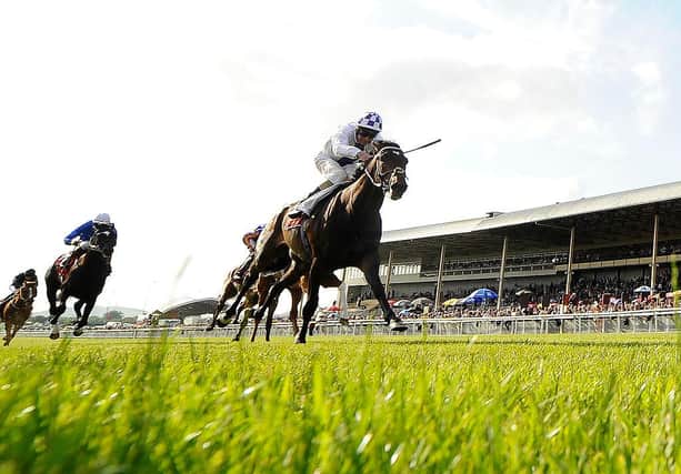 Action from Curragh Racecourse. Photo by Alan Crowhurst/Getty Images