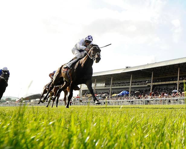 Action from Curragh Racecourse. Photo by Alan Crowhurst/Getty Images
