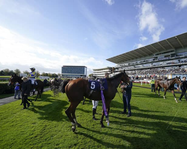 DONCASTER, ENGLAND - OCTOBER 22: A general view as runners unsaddle after The Scott Dobson Memorial Handicap at Doncaster Racecourse on October 22, 2022 in Doncaster, England. (Photo by Alan Crowhurst/Getty Images)