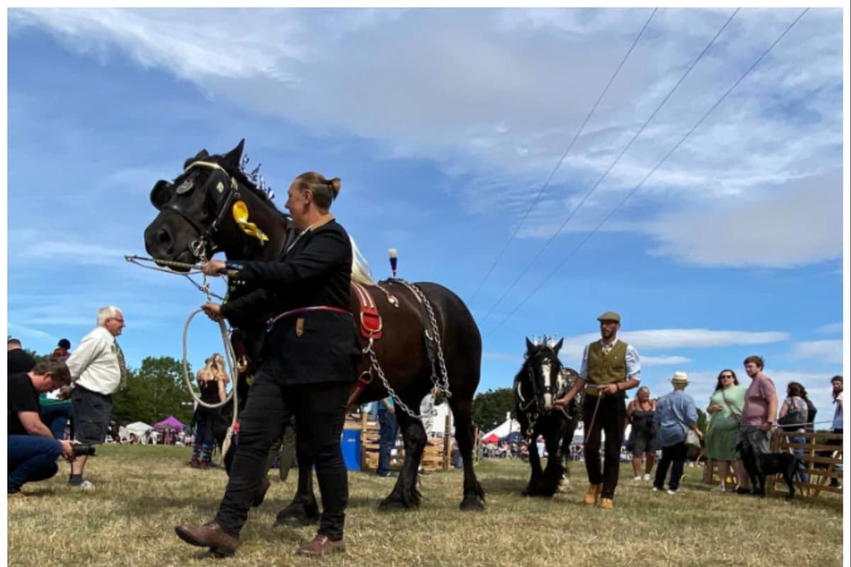 Sykehouse Show: Weather forces cancellation of popular Doncaster country fayre 