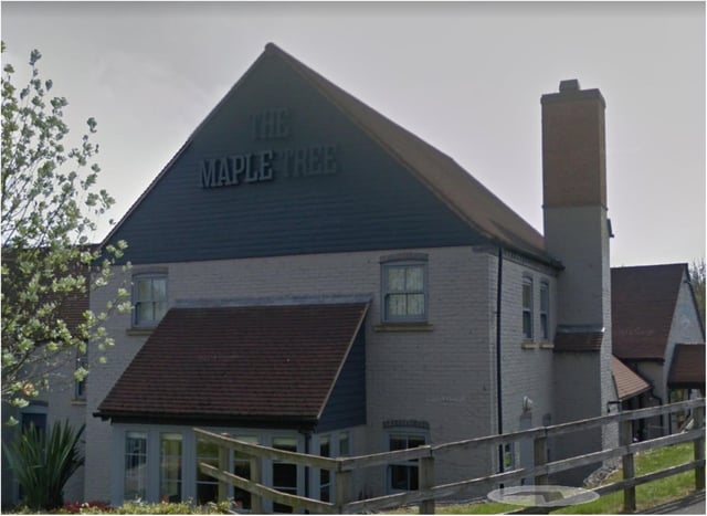 The Maple Tree in Woodfield Plantation.