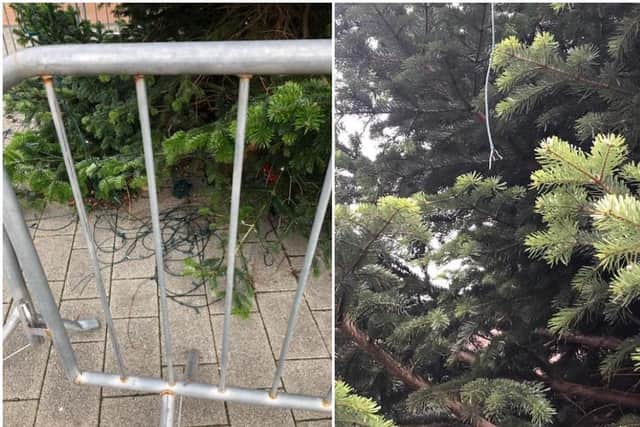 The lights on the tree have been ripped down.