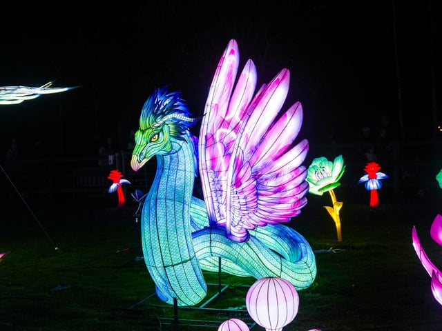 Yorkshire Wildlife Park winter illuminations 2025