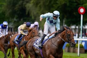 Tom Marquand riding Starman celebrates winning at Newmarket in July. Photo by Alan Crowhurst/Getty Images