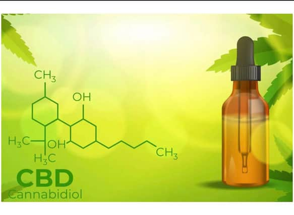 CBD Oil