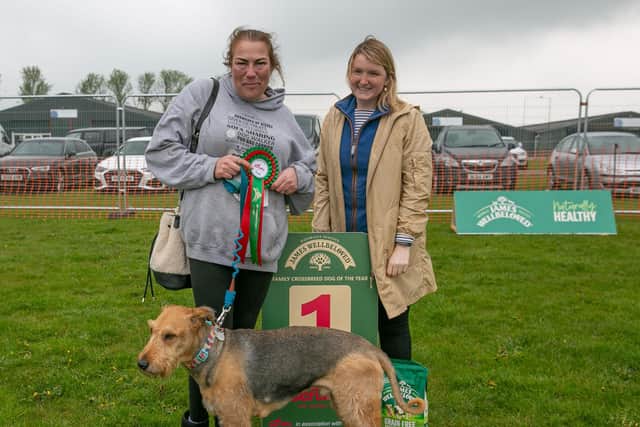 Diesel and Claire Whitehead, Scruffts winners at All About Dogs Newark, with judge Charlotte McNamara. Credit Alan Doyle and The Kennel Club