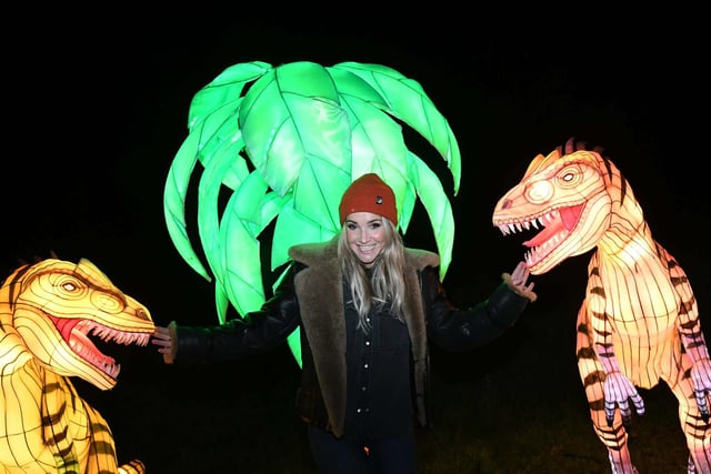 Dinosaur fans will love this year's light trail.