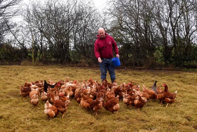 Chris Plume, pictured at Linthwaite Farm, Wentworth.