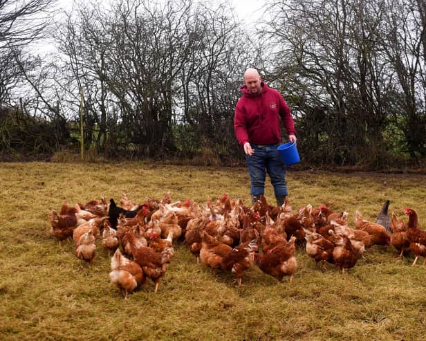 Chris Plume, pictured at Linthwaite Farm, Wentworth.