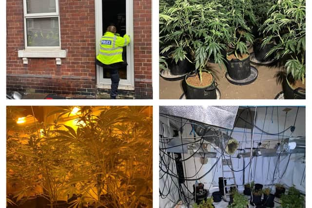 Police bash down doors as they uncover cannabis farms in Doncaster during Operation Duxford.
