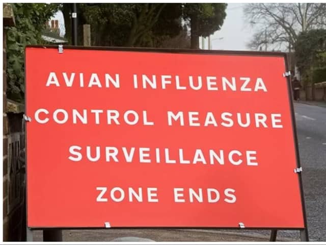 Bird flu restrictions are in place in Doncaster.