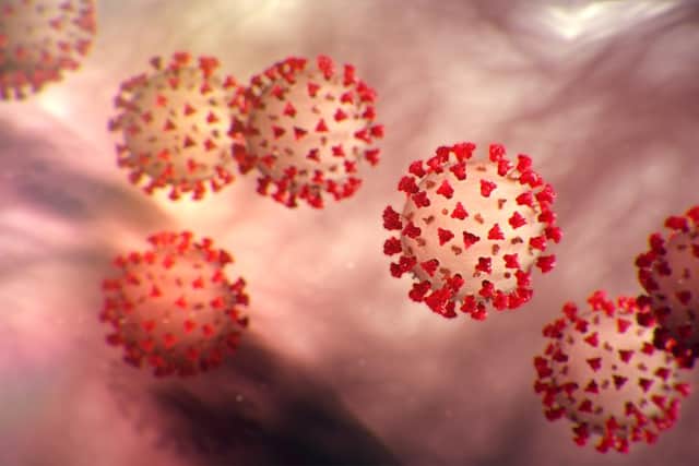 Coronavirus cases in Doncaster increased by 147 in the last 24 hours