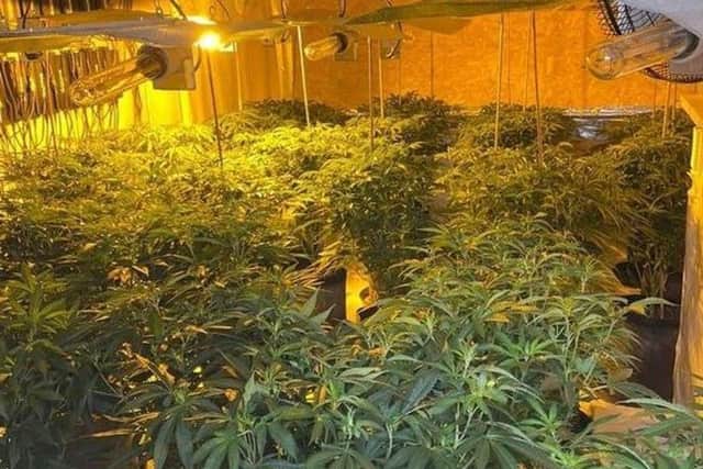 A cannabis farm in Stainforth following a raid by South Yorkshire Police.