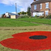 Giant poppies have been installed across Doncaster for Remembrance weekend.