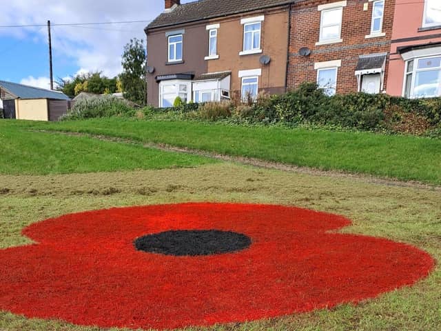 Giant poppies have been installed across Doncaster for Remembrance weekend.