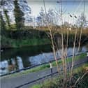 The talk will explore the history of the Dearne and Dove Canal