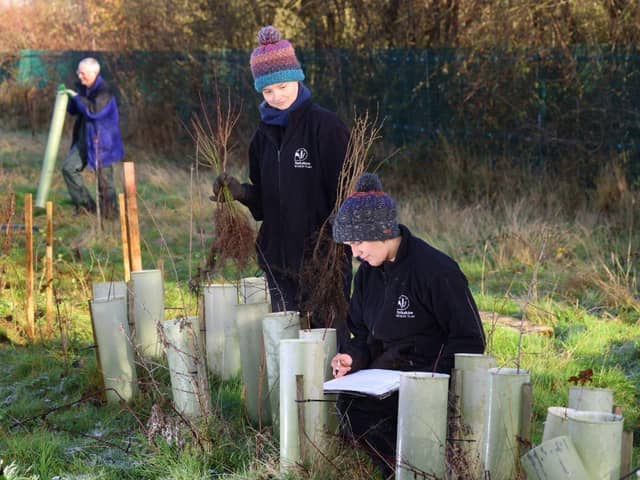 LNER funding has helped transform the Parson'c Cross nature reserve for YWT.