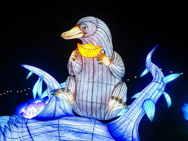 Yorkshire Wildlife Park winter illuminations 2025