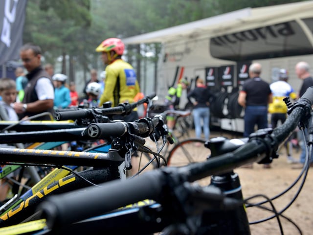 There are three cycle routes at Sherwood Pines for everyone's capability.