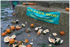 A trail of destruction was left by yobs smashing pumpkins. (Photo: The Farm Shop, Barnby Dun).