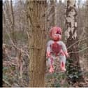 Dolls daubed with fake blood have been found fastened to trees in Doncaster.  (Photo: Project Reveal: Ghosts of Britain).
