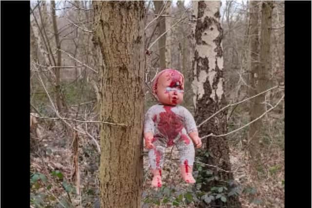 Dolls daubed with fake blood have been found fastened to trees in Doncaster.  (Photo: Project Reveal: Ghosts of Britain).