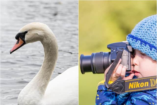 Elliott Ford with one of his photographs of a swan. (Photos: Elliott Ford/Damen Ford).