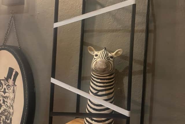 'Kidnapped' Doncaster pub zebra back home, behind bars after Christmas ...