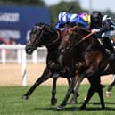 Pat Dobbs rides Chindit (Black cap) to win the Fred Cowley MBE Memorial Summer Mile Stakes at Ascot last month. Photo: Charlie Crowhurst/Getty Images