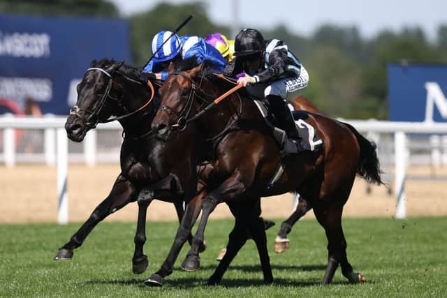 Pat Dobbs rides Chindit (Black cap) to win the Fred Cowley MBE Memorial Summer Mile Stakes at Ascot last month. Photo: Charlie Crowhurst/Getty Images