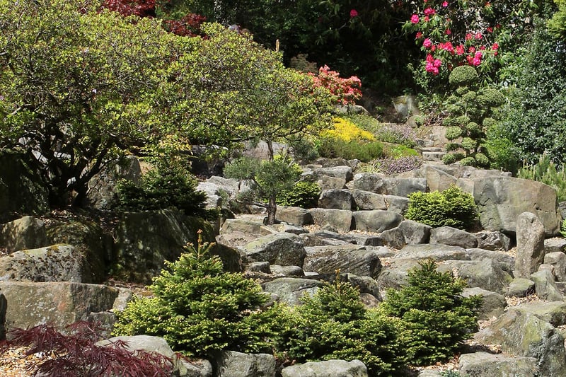A rockery in Whirlow Brook Park