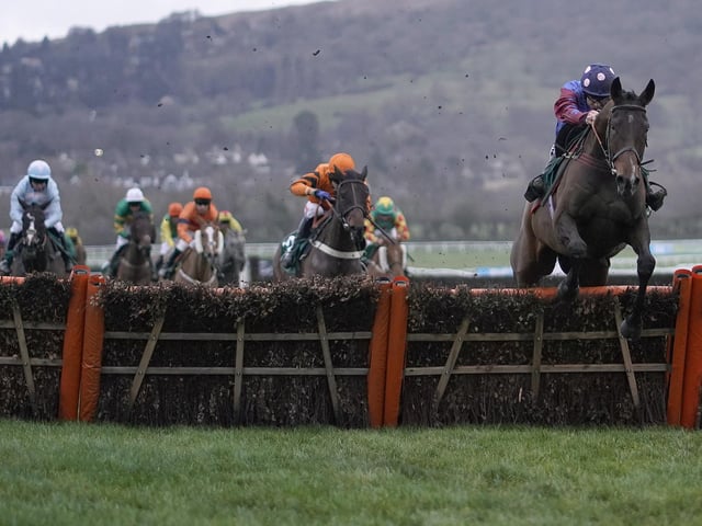 Only one thing is guaranteed at Cheltenham this week -- and that is that the roof will come off if 12yo warrior PAISLEY PARK wins another Paddy Power Stayers' Hurdle on Thursday (3.30), fully five years after his first. Emma Lavelle's veteran of 30 races, owned by blind enthusiast Andrew Gemmell, has tasted defeat in each of the last four renewals, but he has remained remarkably sound and is still performing consistently well at the highest level. He is joined in the race by two other former winners in Flooring Porter and another 12yo, Sire Du Berlais.