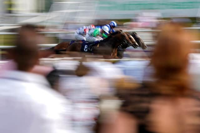 A general view as racegoers watch the racing at Doncaster Racecourse on September 9. Photo by Alan Crowhurst/Getty Images
