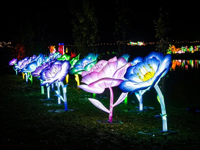 Yorkshire Wildlife Park winter illuminations 2025