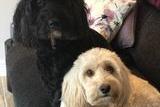 Lisa Lack shared this picture of her two precious girls Phoebe and Tia.