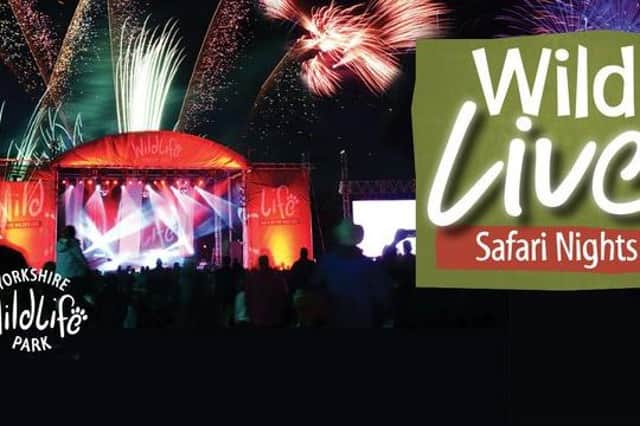 Wild Safari Nights are back