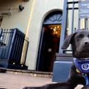 Support dog pup Gilly outside the Crown Hotel, Bawtry, which will host a puppy tea party in the charity's honour