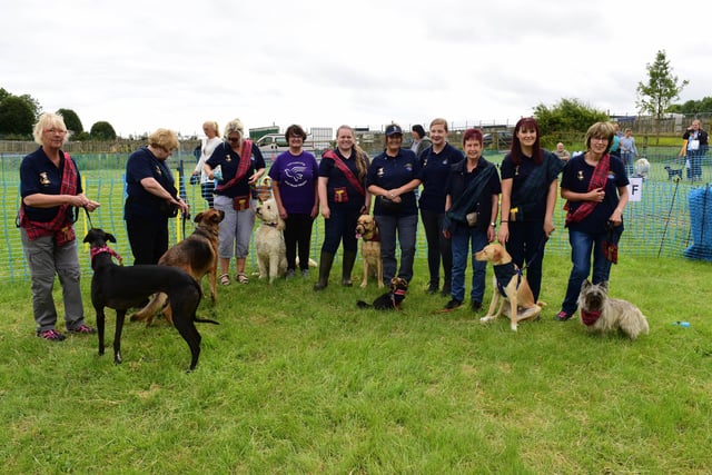 Alice House Hospice Dogs Big Day Out, at Summerhill last year. Can you spot anyone you know?